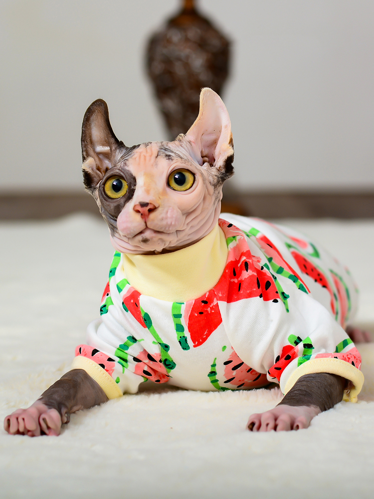 Macacão Cat Sphynx