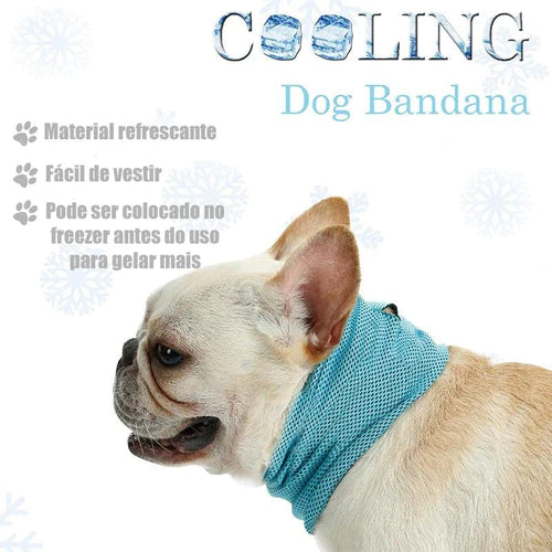 Bandana Refrescante Pet Summer - Refrigeração Instantânea