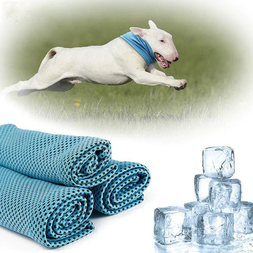 Bandana Refrescante Pet Summer - Refrigeração Instantânea