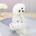 Blusa Fluffy Pet