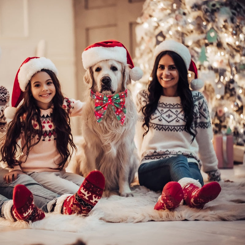 Coleira Laço de Natal Charm