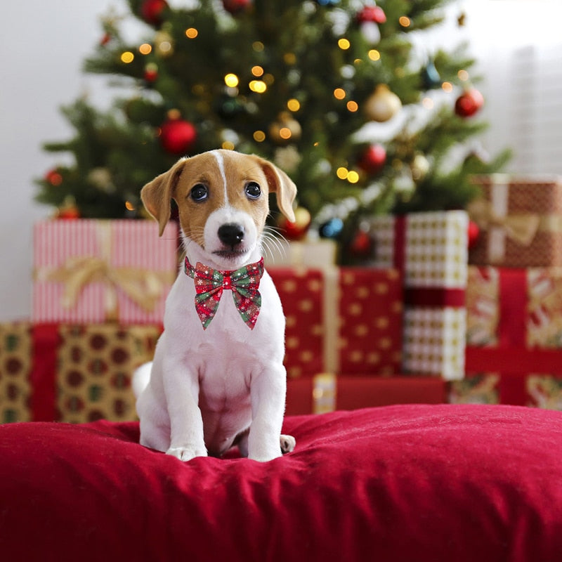 Coleira Laço de Natal Charm