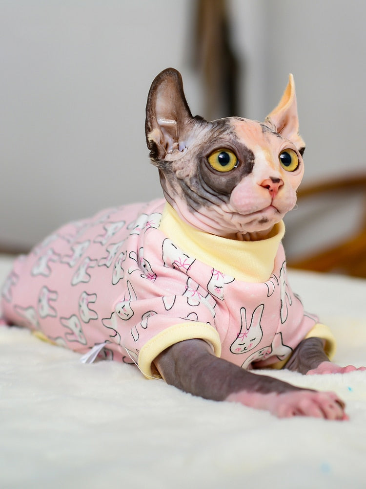 Macacão Cat Sphynx