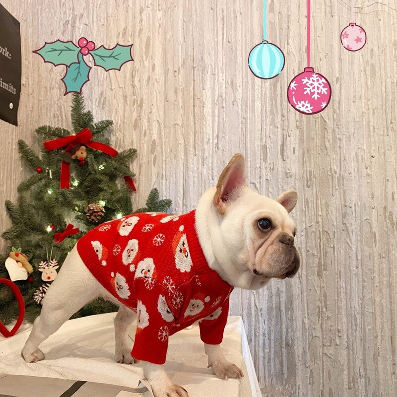 Tricot Pet Natal Enzo