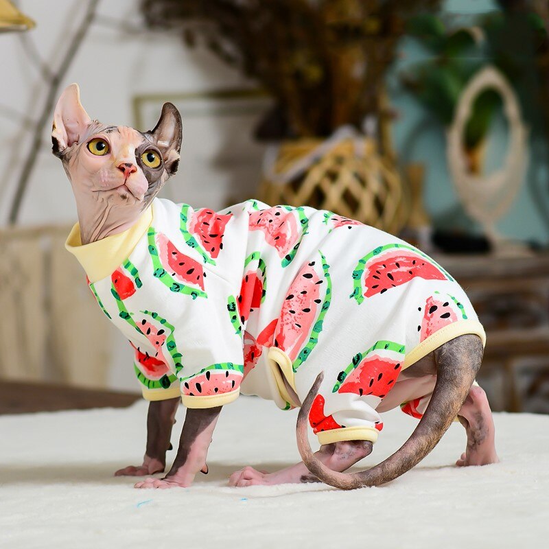 Macacão Cat Sphynx