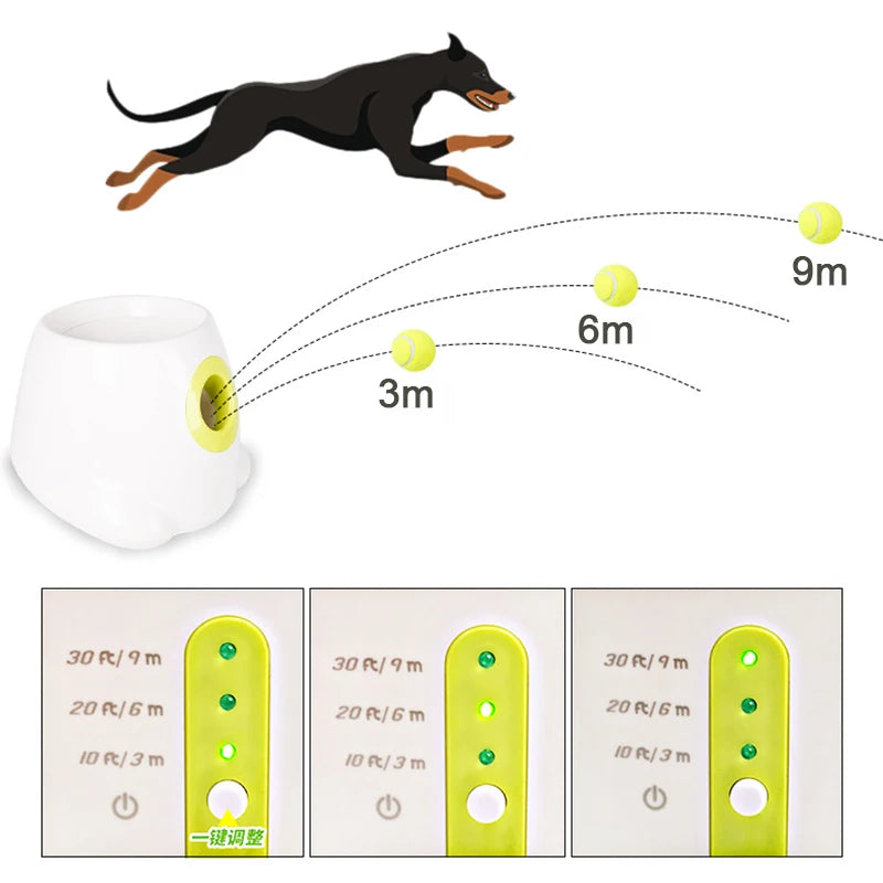 Lançador de Bolas Automático Pet