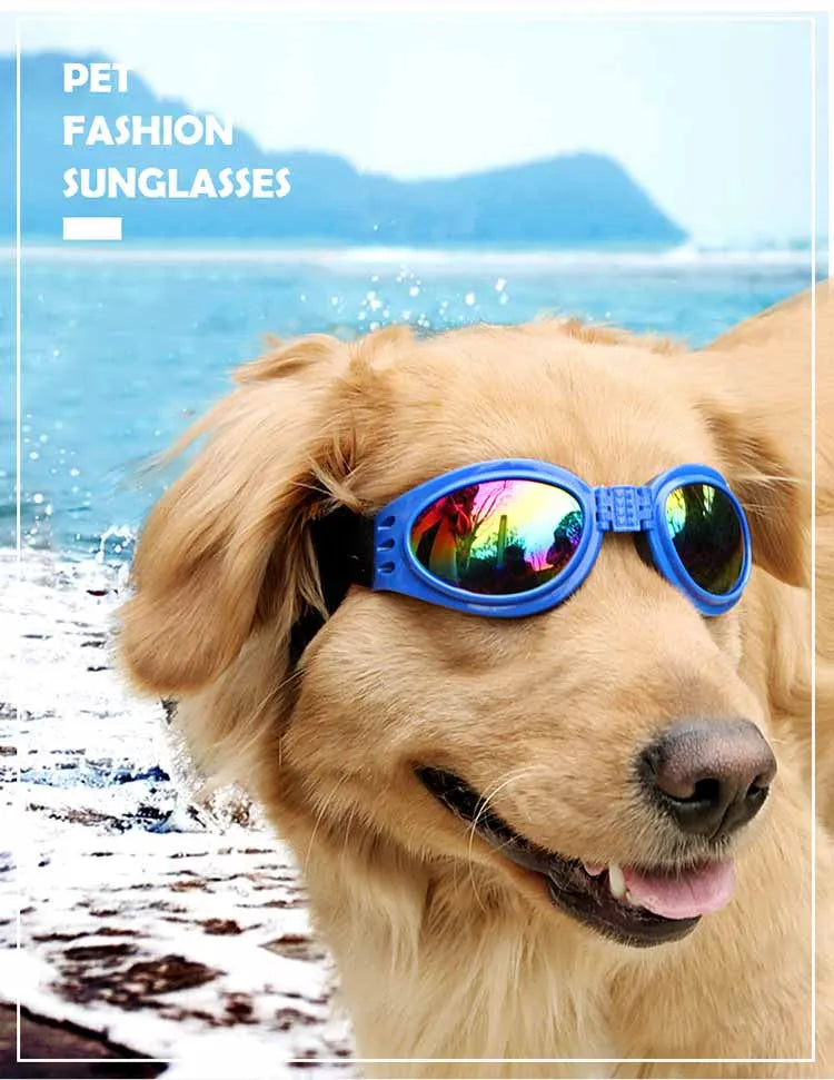 Óculos Pet Summer - Dobrável Com Alça